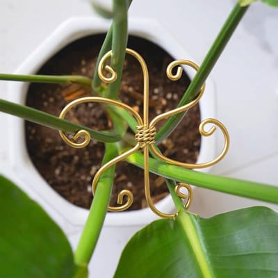 Famanu – Metalen monstera plantensteunsysteem, set van 4 duurzame stengelsteunen met haken voor gezonde groei