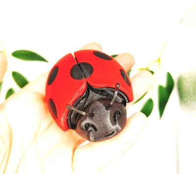 Gearticulleerd Lieveheersbeestje – Flexibel Beweegbaar 3D Print Rood Zwart – Schattig Insect Figuur