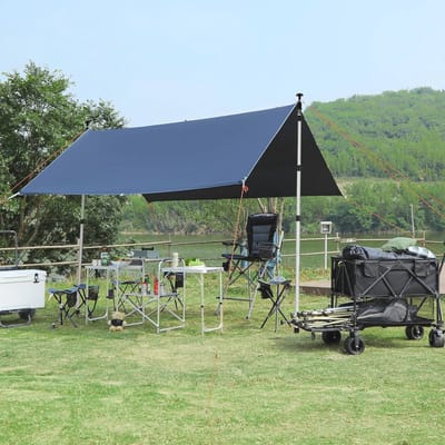 Telescoop Aluminium Tentstokken - Set van 2, Verstelbare Verlengstang voor Camping, Luifel en Zonnezeil