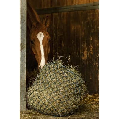 Hooi net Hippotonic Zari