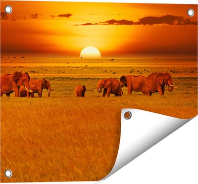 Gards Tuinposter Olifanten in het Wild - Zonsondergang - 50x40 cm - Tuindoek - Tuindecoratie - Wanddecoratie buiten - Tuinschilderij