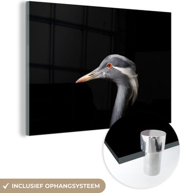 MuchoWow® Glasschilderij 150x100 cm - Schilderij acrylglas - Vogel - Dieren - Portret - Foto op glas - Schilderijen