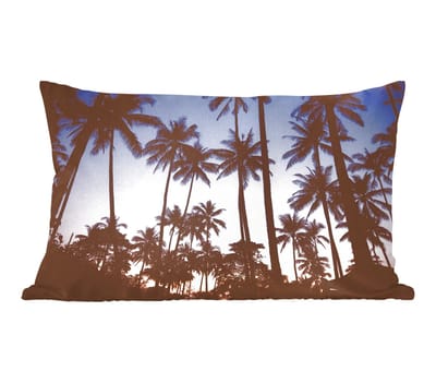 Sierkussens - Kussentjes Woonkamer - 50x30 cm - Palmboom - Tropisch - Zomer - Lucht