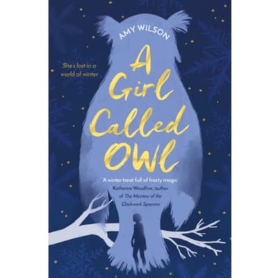 A Girl Called Owl - Amy Wilson