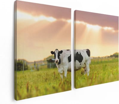 Artaza Canvas Schilderij Tweeluik Zwart Wit Koe In De Wei Bij Zonsopkomst - 120x80 - Foto Op Canvas - Canvas Print
