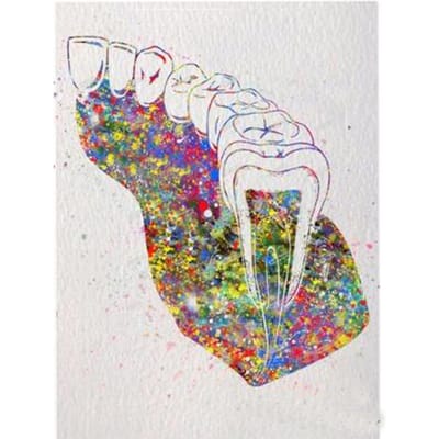 Diamond Painting Aquarel Tanden Medische Afbeelding 5D Diamant Borduurwerk Volledige Ronde Boortjes Patroon 20X30CM gray