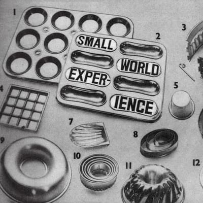 Small World Experience - Shelf-Life (LP)
