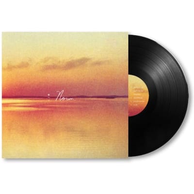 Andy Shauf - Norm (LP)