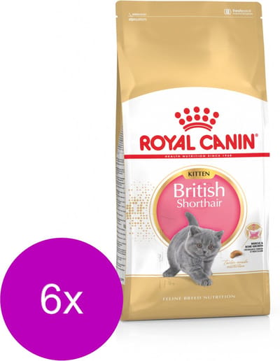 Royal Canin British Shorthair Kitten - Kitten-Kattenvoer - 6 x 2 kg