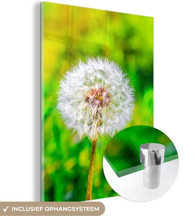MuchoWow® Glasschilderij 30x40 cm - Schilderij acrylglas - Paardenbloem - Grasveld - Bloem - Foto op glas - Schilderijen