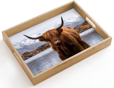 Dienblad hout 40x30 cm - Schootdienblad - Schotse hooglander - Bruin - Water - Borrelplank rechthoek - Plateau dienbladen