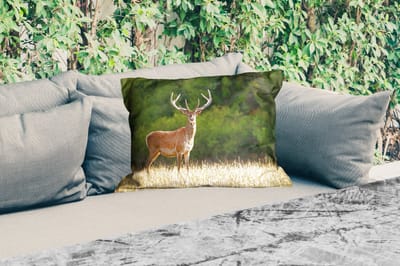 Buitenkussens - Tuin - Hert - Gewei - Gras - Natuur - Dieren - Groen - 50x30 cm