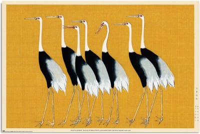 Poster Flock Of Beautiful Japanese Red Crown Crane By O Korin 61x91,5cm