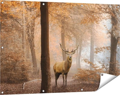 Gards Tuinposter Hert in het Bos - Herfst - 120x80 cm - Tuindoek - Tuindecoratie - Wanddecoratie buiten - Tuinschilderij
