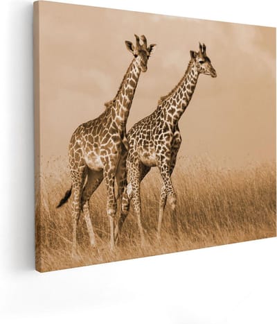 Artaza Canvas Schilderij Dierenschilderij - 50x40 cm - Wanddecoratie Afrika - Muurdecoratie Jungle - Kamer Accessoires