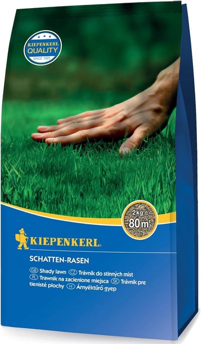 Hoogwaardig Graszaden Mengsel voor Schaduwrijke Tuinen 2 kg