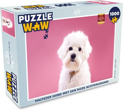 Puzzel Maltezer hond met een roze achtergrond - Legpuzzel - Puzzel 1000 stukjes volwassenen