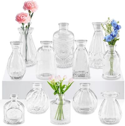 Glazen Vazen, 12 Transparante Mini-Vazen in Verschillende Maten, Decoratieve Vazen voor Woonkamer, Bruiloft, Diner, Tafel, Feest, Kantoor en Slaapkamer