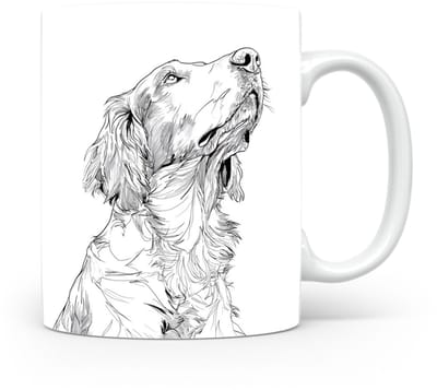 Beker Engelse Setter