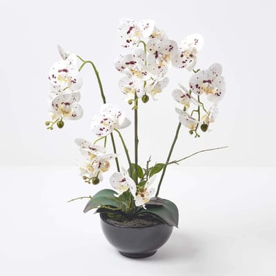 Levensechte Witte Kunst Orchidee in Zwarte Pot (62cm) - Zijden Bloemen