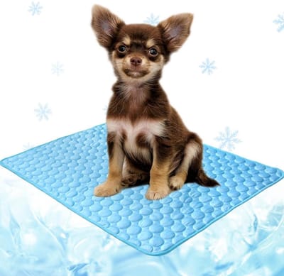 Koelmat voor honden en katten - Bench Mat - Koeldeken - Eenvoudig te reinigen koelmat/ligbed - Antislip - Voor alle soorten huisdieren - 70 x 55 cm - Blauw