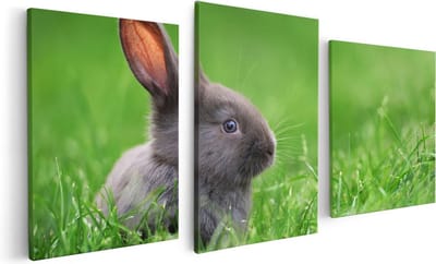 Artaza Canvas Schilderij Drieluik Konijn In Het Gras - 120x60 - Foto Op Canvas - Canvas Print
