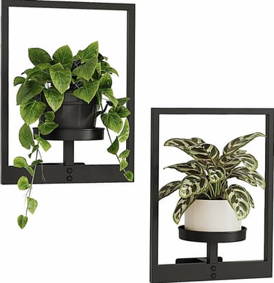 Sierra, Raamplanten planken muur plantenstandaard hangende plantenbakken voor kamerplanten plantenhanger buiten plantenhouder wandmontage plantenrek zwart metalen kamerdecoratie 2 stuks (pot niet