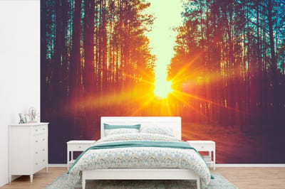 Behang - Fotobehang Zonsondergang - Bomen - Bos - Natuur - Breedte 525 cm x hoogte 350 cm