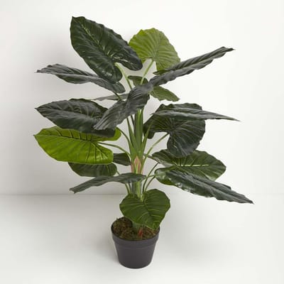 Decoratieve Plant - Kunstplant Taro - Woonkamer Decoratie - Realistisch Ontwerp - 90 cm Hoog - Groen