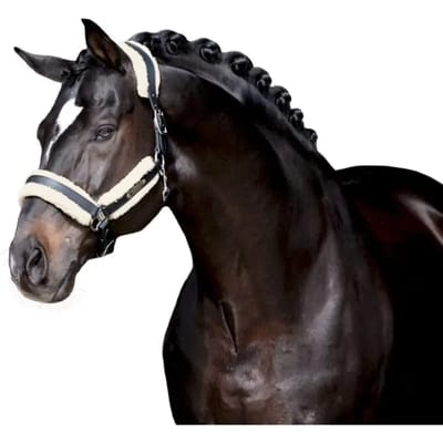 Hoofdstel schede Eskadron en fausse fourrure Stallion