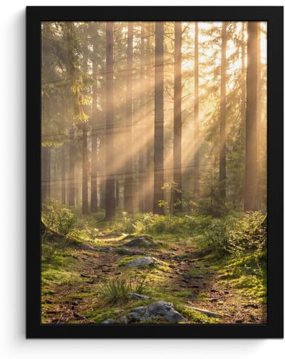 Poster in lijst - Fotolijst 30x40 cm - Posters - Bos - Zonlicht - Gras - Posterlijst zwart - Decoratie - Wanddecoratie woonkamer - Muurdecoratie slaapkamer