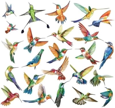 PromoHome Kolibrie Raamstickers Set - 25 Stuks Dubbelzijdige Vogel Waarschuwing Stickers, Lente en Zomer Raamdecoratie, Anti-Botsing Raamfolie voor Ramen en Deuren