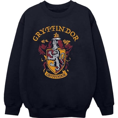 Harry Potter Jongens Gryffindor Katoenen Sweatshirt (Marineblauw)