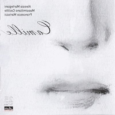 Muziek CD - Audio schijf - Muziek luisteren - Hoge geluidskwaliteit - 12 cm - Zilver