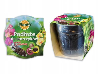 Planta - Potgrond - Orchideeën - 0,65L - Met Doorzichtige Pot
