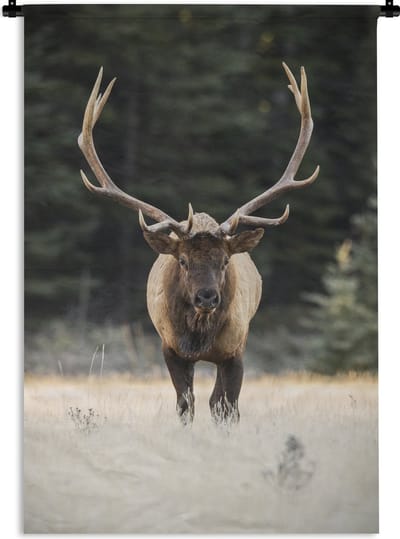 Wandkleed - Wanddoek - Hert - Boom - Gewei - 120x180 cm - Wandtapijt
