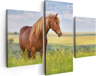 Artaza Canvas Schilderij Drieluik Bruin Paard In De Wei - 90x60 - Foto Op Canvas - Canvas Print