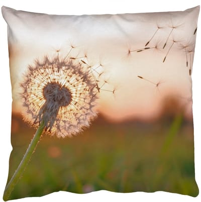 Sierkussens - Kussentjes Woonkamer - 50x50 cm - Paardenbloem - Zonsondergang - Veld