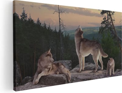 Artaza Canvas Schilderij Wolf - 40x20 cm - Klein - Wanddecoratie Dieren - Muurdecoratie Bos - Schilderijen Op Canvas Natuur
