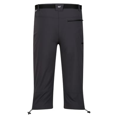 Regatta Heren Xert Stretch III Stretch Active Capri Shorts (Afdichting Grijs)