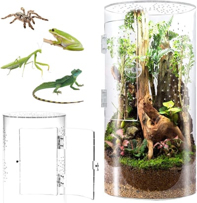 Dailygoods- Terrarium 360° HD-panorama - Acryl Terrarium 29x19x19cm - Vogelspinnenkooi - Waterdichte Reptielenhouder - Container voor Schildpad - Optimale observatie-ervaring - Dierenverblijf