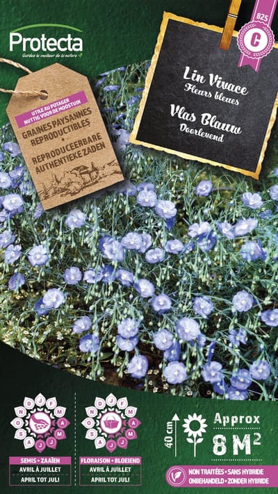 Protecta Bloemen zaden: Vlas Blauw Doorlevend