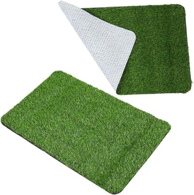 Kunstgras Deurmat - Buiten Tapijt - Huisdier Training - Realistische Textuur - 58x38 cm - Groen