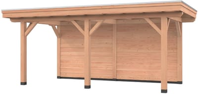 Douglas overkapping, 600 x 300, met achterwand, Westwood Vrijbuiter Basic