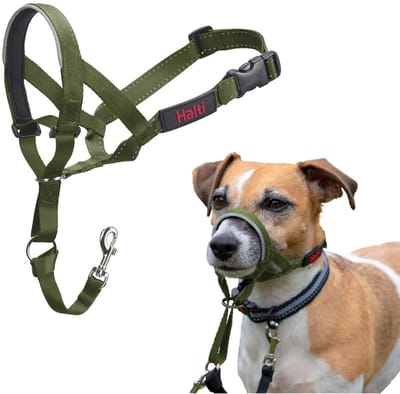 Halti Headcollar - Forest Green - Maat 1