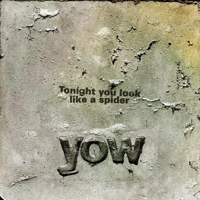 David Yow - Tonight You Look Like A Spider (LP)