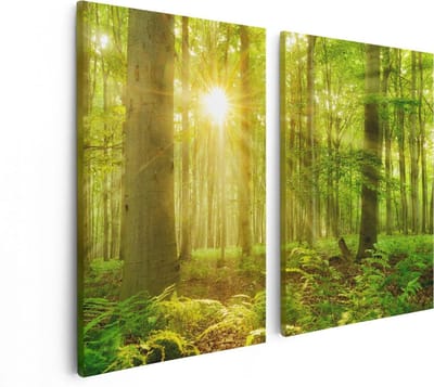 Artaza Canvas Schilderij Tweeluik Groen Bos Met Schijnende Zonnestralen - 80x60 - Foto Op Canvas - Canvas Print
