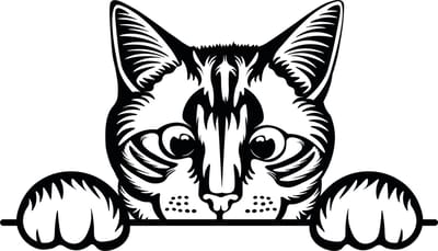 Auto raam sticker - auto tuning - muursticker grappige gluurkat - poes -