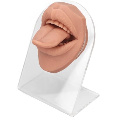 Menselijk Tongmodel Zacht Siliconen Levensgetrouw Acryl Standaard Mondmodel voor Sieraden Display