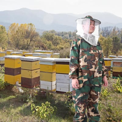 Veste d'apiculture professionnelle en coton polyester Combinaisons de protection contre les abeilles Blouse Équipement d'apiculteur L L gray